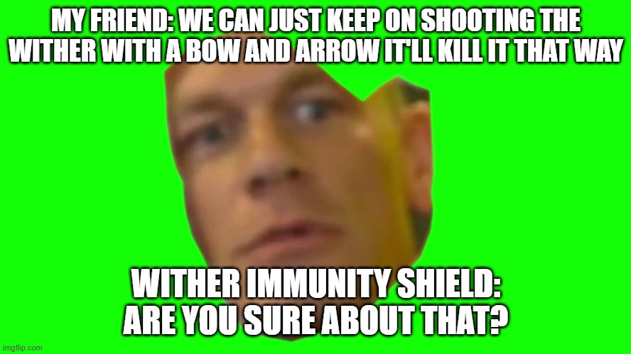 Are you sure about that? (Cena) | MY FRIEND: WE CAN JUST KEEP ON SHOOTING THE WITHER WITH A BOW AND ARROW IT'LL KILL IT THAT WAY; WITHER IMMUNITY SHIELD: ARE YOU SURE ABOUT THAT? | image tagged in are you sure about that cena | made w/ Imgflip meme maker