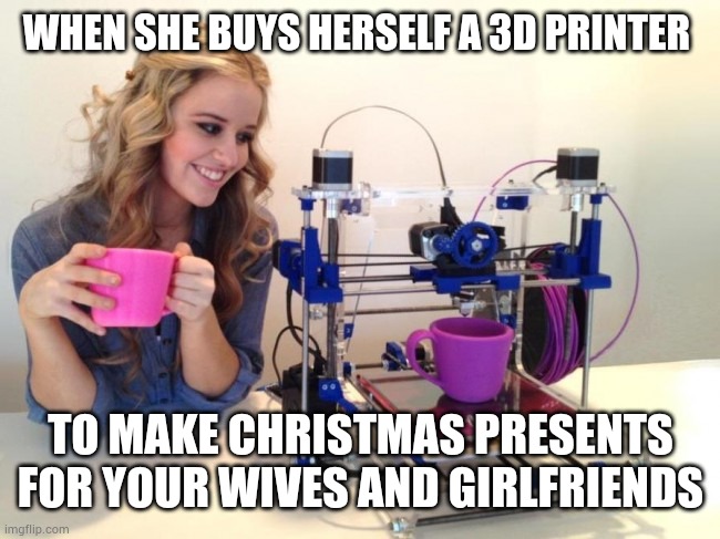 Too many picks | WHEN SHE BUYS HERSELF A 3D PRINTER; TO MAKE CHRISTMAS PRESENTS FOR YOUR WIVES AND GIRLFRIENDS | image tagged in 3d printing,cheating husband | made w/ Imgflip meme maker