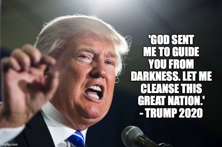 donald trump | 'GOD SENT ME TO GUIDE YOU FROM DARKNESS. LET ME CLEANSE THIS GREAT NATION.' - TRUMP 2020 | image tagged in donald trump | made w/ Imgflip meme maker