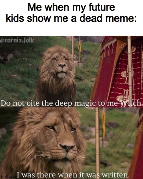Narnia Meme | Me when my future kids show me a dead meme: | image tagged in narnia meme | made w/ Imgflip meme maker