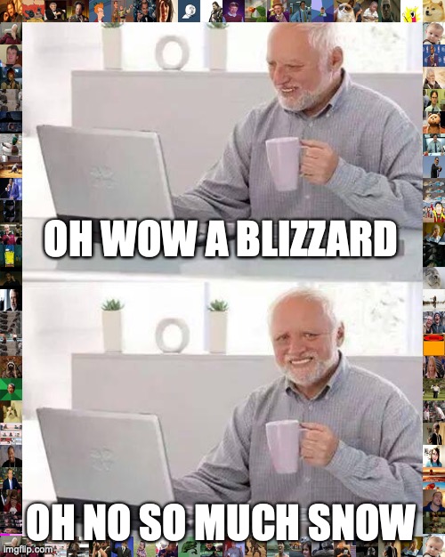 Hide the Pain Harold Meme | OH WOW A BLIZZARD OH NO SO MUCH SNOW | image tagged in memes,hide the pain harold | made w/ Imgflip meme maker
