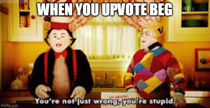 Your not just wrong your stupid | WHEN YOU UPVOTE BEG | image tagged in your not just wrong your stupid | made w/ Imgflip meme maker