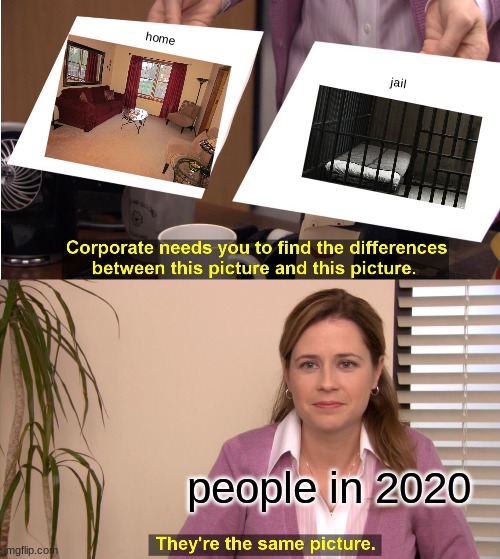 They're The Same Picture | home; jail; people in 2020 | image tagged in memes,they're the same picture | made w/ Imgflip meme maker