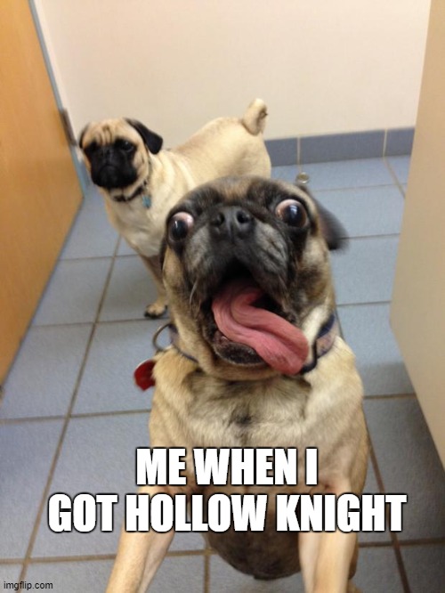 pug love | ME WHEN I GOT HOLLOW KNIGHT | image tagged in pug love | made w/ Imgflip meme maker