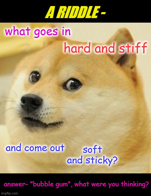what were you thinking? | A RIDDLE -; what goes in; hard and stiff; soft and sticky? and come out; answer- "bubble gum", what were you thinking? | image tagged in memes,doge,gum | made w/ Imgflip meme maker