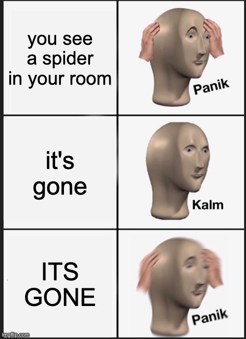 Panik Kalm Panik | you see a spider in your room; it's gone; ITS GONE | image tagged in memes,panik kalm panik | made w/ Imgflip meme maker