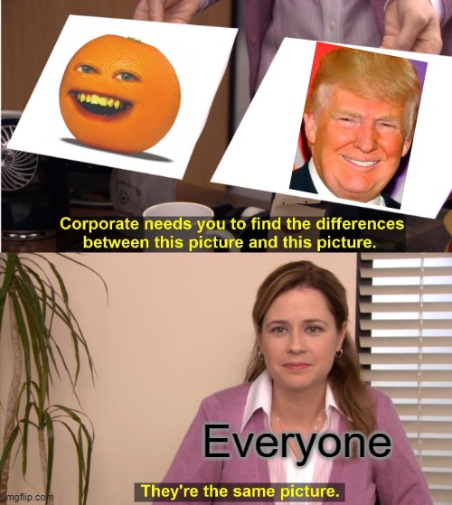 Trump IS orange | Everyone | image tagged in memes,they're the same picture,donald trump,annoying orange | made w/ Imgflip meme maker