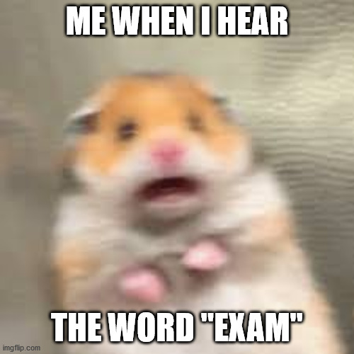 Me when I hear the word "exam" | ME WHEN I HEAR; THE WORD "EXAM" | image tagged in memes,exams,school,scared | made w/ Imgflip meme maker