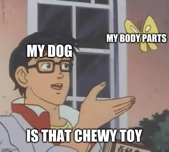 Is This A Pigeon | MY BODY PARTS; MY DOG; IS THAT CHEWY TOY | image tagged in memes,is this a pigeon | made w/ Imgflip meme maker