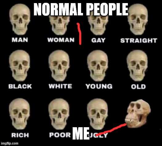 idiot skull | NORMAL PEOPLE; ME | image tagged in idiot skull | made w/ Imgflip meme maker