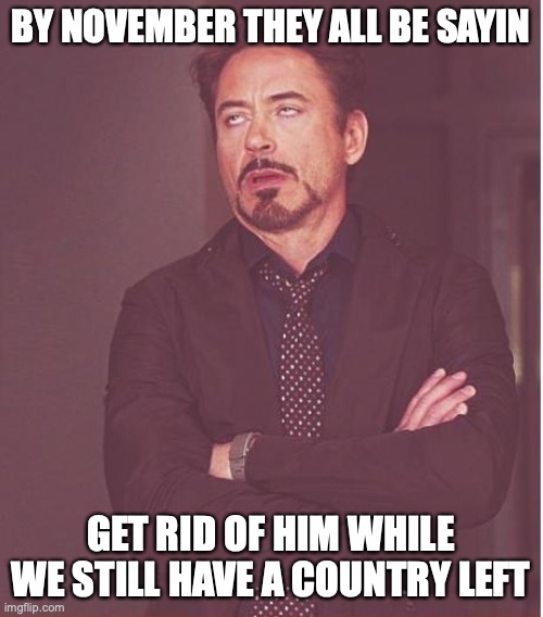 Face You Make Robert Downey Jr Meme | BY NOVEMBER THEY ALL BE SAYIN GET RID OF HIM WHILE WE STILL HAVE A COUNTRY LEFT | image tagged in memes,face you make robert downey jr | made w/ Imgflip meme maker