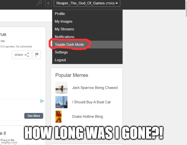 That's new | HOW LONG WAS I GONE?! | image tagged in imgflip,update | made w/ Imgflip meme maker