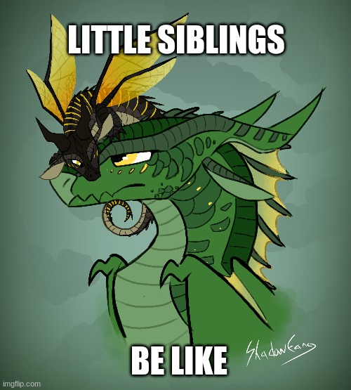 Siblings | LITTLE SIBLINGS; BE LIKE | image tagged in memes | made w/ Imgflip meme maker