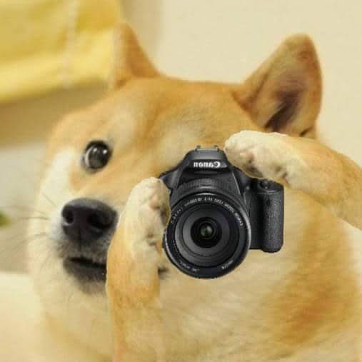 Doge camera Blank Meme Template