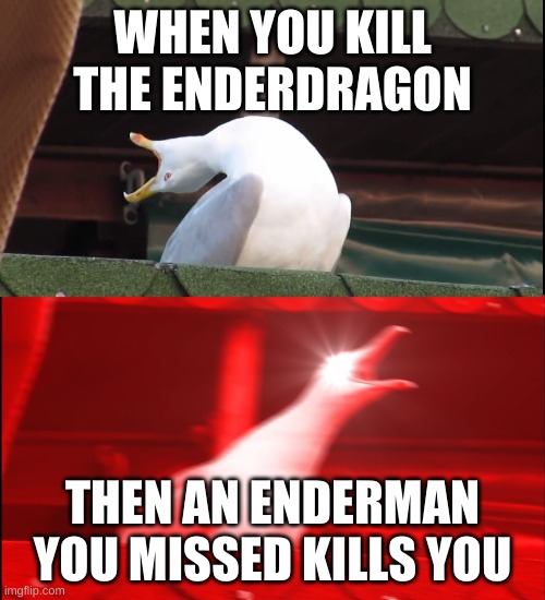 Screaming bird | WHEN YOU KILL THE ENDERDRAGON; THEN AN ENDERMAN YOU MISSED KILLS YOU | image tagged in screaming bird | made w/ Imgflip meme maker