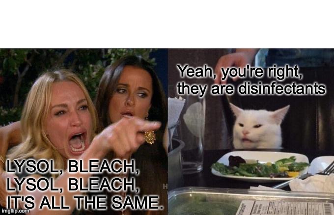 Woman Yelling At Cat Meme | Yeah, you're right, they are disinfectants; LYSOL, BLEACH, LYSOL, BLEACH, IT'S ALL THE SAME. | image tagged in memes,woman yelling at cat | made w/ Imgflip meme maker
