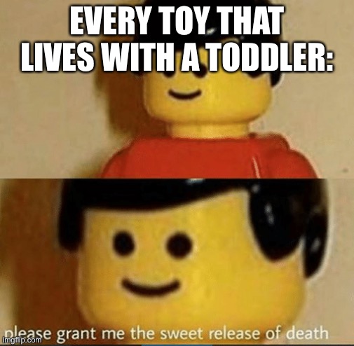 Sweet Release | EVERY TOY THAT LIVES WITH A TODDLER: | image tagged in sweet release | made w/ Imgflip meme maker