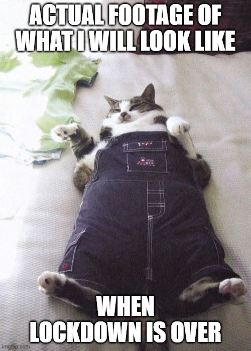 Me after lockdown | ACTUAL FOOTAGE OF WHAT I WILL LOOK LIKE; WHEN LOCKDOWN IS OVER | image tagged in memes,fat cat | made w/ Imgflip meme maker