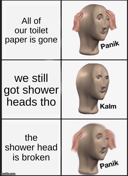 the wurld | All of our toilet paper is gone; we still got shower heads tho; the shower head is broken | image tagged in memes,panik kalm panik | made w/ Imgflip meme maker