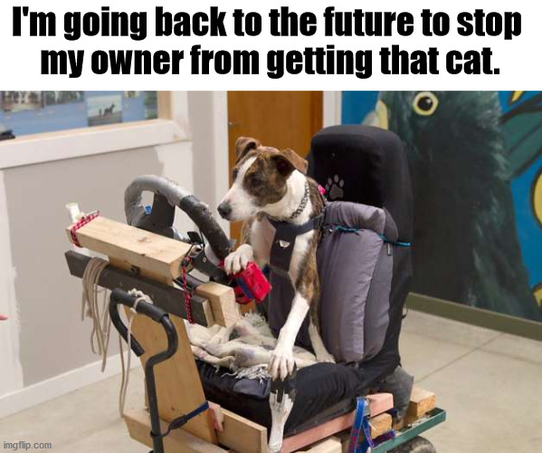 My dog really hates that cat. | I'm going back to the future to stop 
my owner from getting that cat. | image tagged in dog,back to the future,time travel,stop it | made w/ Imgflip meme maker