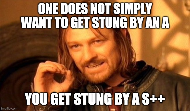One Does Not Simply Meme | ONE DOES NOT SIMPLY WANT TO GET STUNG BY AN A YOU GET STUNG BY A S++ | image tagged in memes,one does not simply | made w/ Imgflip meme maker