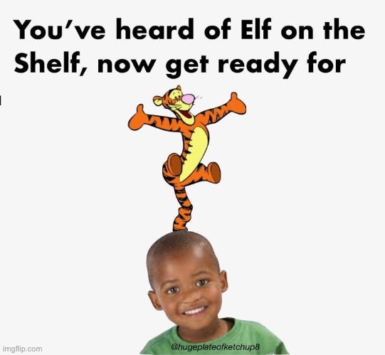 I should have this on Dark_Humor instead, shouldn't I? | image tagged in elf on the shelf,tigger,nigga | made w/ Imgflip meme maker