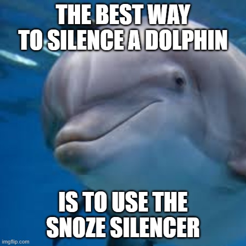 THE BEST WAY TO SILENCE A DOLPHIN; IS TO USE THE SNOZE SILENCER | image tagged in dolphin | made w/ Imgflip meme maker