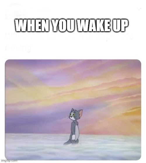 Tom in heaven | WHEN YOU WAKE UP | image tagged in tom in heaven | made w/ Imgflip meme maker