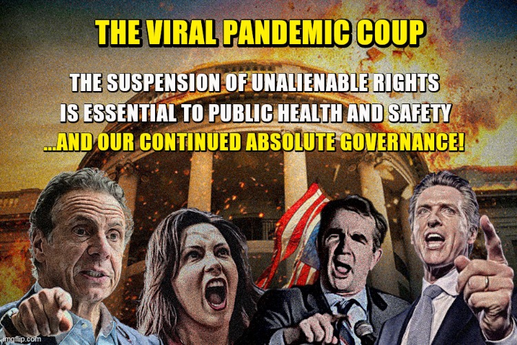 The Pandemic Coup | image tagged in the pandemic coup | made w/ Imgflip meme maker