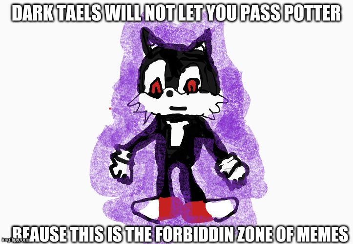 DArk Taels | DARK TAELS WILL NOT LET YOU PASS POTTER; BEAUSE THIS IS THE FORBIDDIN ZONE OF MEMES | image tagged in funny memes | made w/ Imgflip meme maker