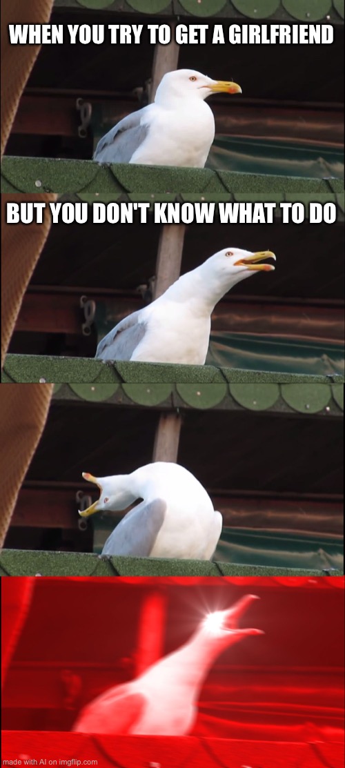 I feel this on a spiritual level | WHEN YOU TRY TO GET A GIRLFRIEND; BUT YOU DON'T KNOW WHAT TO DO | image tagged in memes,inhaling seagull | made w/ Imgflip meme maker