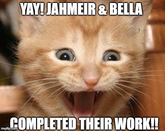 excited | YAY! JAHMEIR & BELLA; COMPLETED THEIR WORK!! | image tagged in memes,excited cat | made w/ Imgflip meme maker