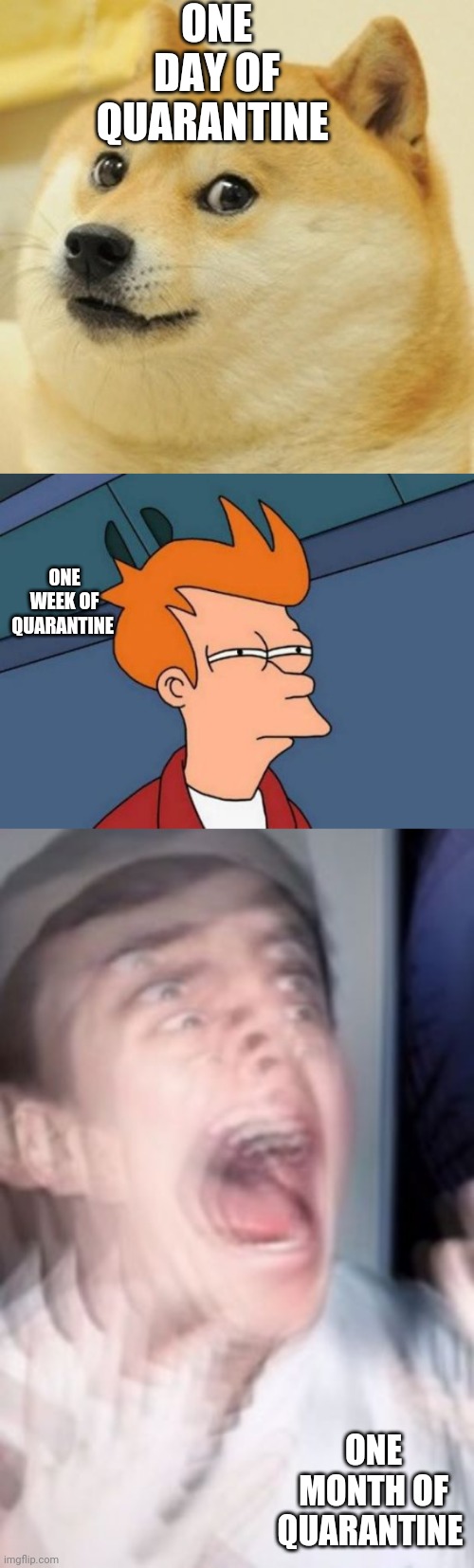ONE DAY OF QUARANTINE; ONE WEEK OF QUARANTINE; ONE MONTH OF QUARANTINE | image tagged in memes,futurama fry,doge,freaking out | made w/ Imgflip meme maker