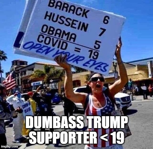 DUMBASS TRUMP SUPPORTER < 19 | image tagged in donald trump | made w/ Imgflip meme maker