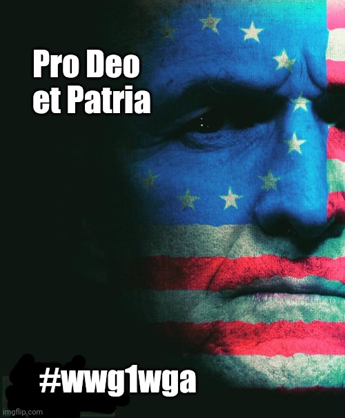 Covert milliary operation | Pro Deo
et Patria; #wwg1wga | image tagged in politics | made w/ Imgflip meme maker