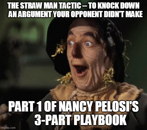 Nancy Pelosi | THE STRAW MAN TACTIC -- TO KNOCK DOWN    AN ARGUMENT YOUR OPPONENT DIDN'T MAKE; PART 1 OF NANCY PELOSI'S       3-PART PLAYBOOK | image tagged in straw man - what a great idea | made w/ Imgflip meme maker
