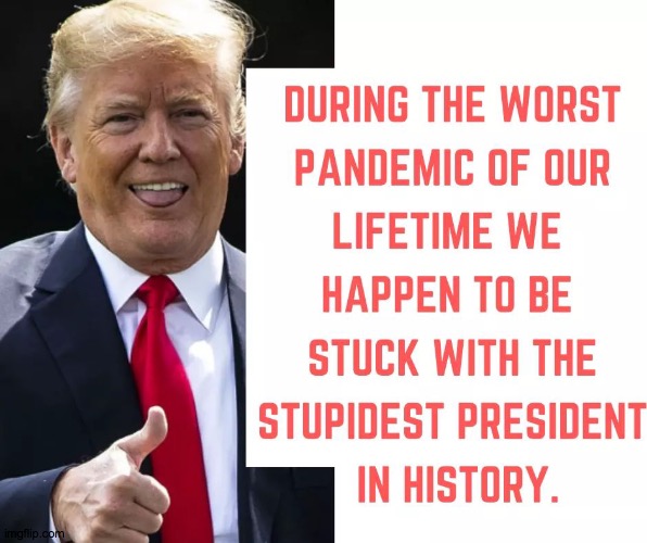 image tagged in trump,pandemic,virus,stupid,president | made w/ Imgflip meme maker