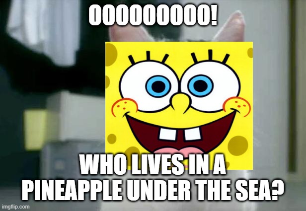 spongecat | OOOOOOOOO! WHO LIVES IN A PINEAPPLE UNDER THE SEA? | image tagged in memes,omg cat,spongebob | made w/ Imgflip meme maker