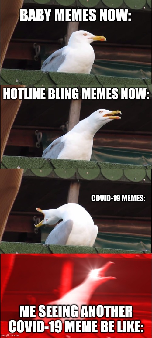 this is true tho | BABY MEMES NOW:; HOTLINE BLING MEMES NOW:; COVID-19 MEMES:; ME SEEING ANOTHER COVID-19 MEME BE LIKE: | image tagged in memes,inhaling seagull | made w/ Imgflip meme maker