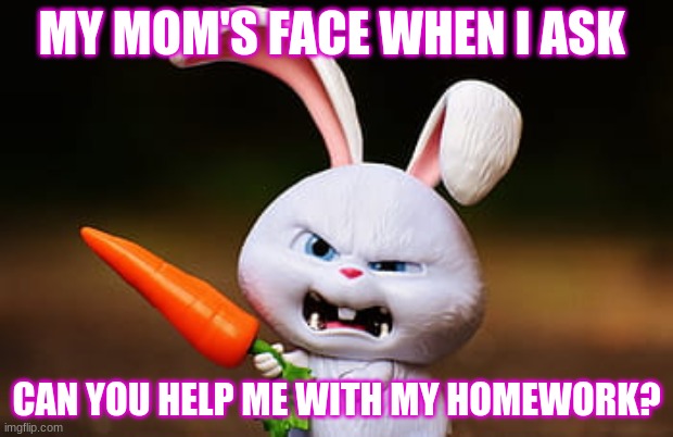 school work | MY MOM'S FACE WHEN I ASK; CAN YOU HELP ME WITH MY HOMEWORK? | image tagged in work | made w/ Imgflip meme maker