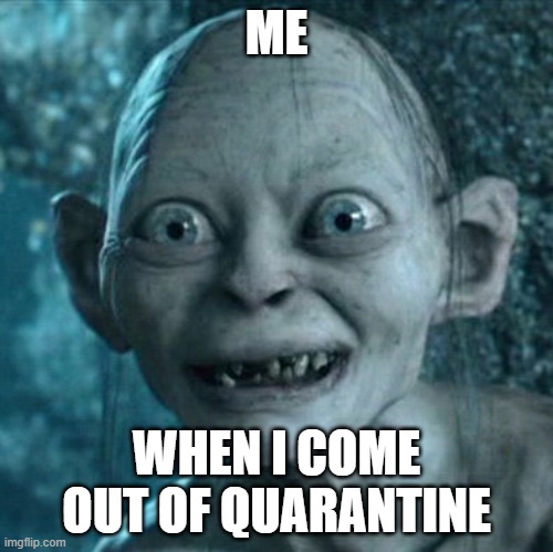 Gollum Meme | ME; WHEN I COME OUT OF QUARANTINE | image tagged in memes,gollum | made w/ Imgflip meme maker