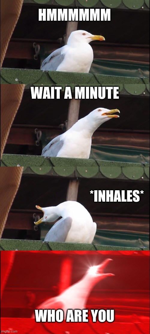 Inhaling Seagull Meme | HMMMMMM; WAIT A MINUTE; *INHALES*; WHO ARE YOU | image tagged in memes,inhaling seagull | made w/ Imgflip meme maker