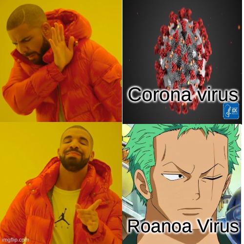 A sequal to Corona zoro | Corona virus; Roanoa Virus | image tagged in memes,drake hotline bling | made w/ Imgflip meme maker