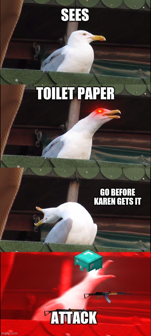 go go go | SEES; TOILET PAPER; GO BEFORE KAREN GETS IT; ATTACK | image tagged in memes,inhaling seagull | made w/ Imgflip meme maker