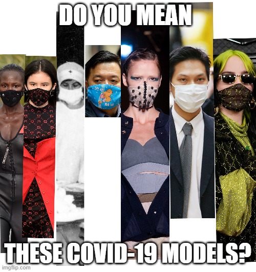 DO YOU MEAN THESE COVID-19 MODELS? | made w/ Imgflip meme maker