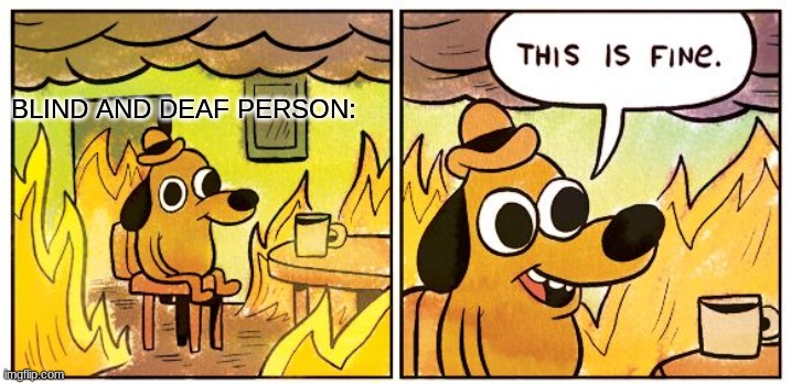 BOI | BLIND AND DEAF PERSON: | image tagged in memes,this is fine | made w/ Imgflip meme maker
