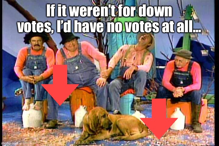 If it weren’t for down votes, I’d have no votes at all... | made w/ Imgflip meme maker