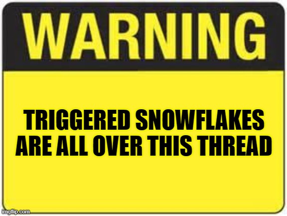 blank warning sign | TRIGGERED SNOWFLAKES ARE ALL OVER THIS THREAD | image tagged in blank warning sign | made w/ Imgflip meme maker