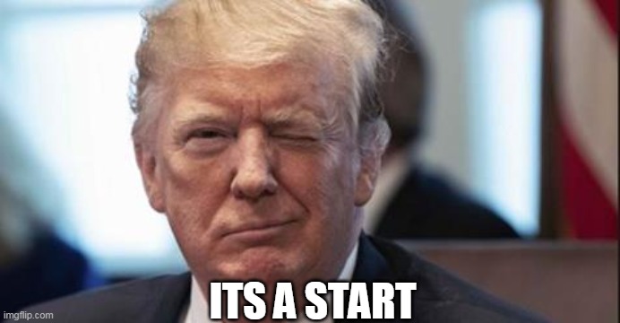 Trump wink | ITS A START | image tagged in trump wink | made w/ Imgflip meme maker