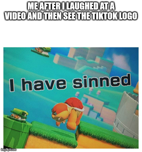 Sin | ME AFTER I LAUGHED AT A VIDEO AND THEN SEE THE TIKTOK LOGO | image tagged in sin | made w/ Imgflip meme maker